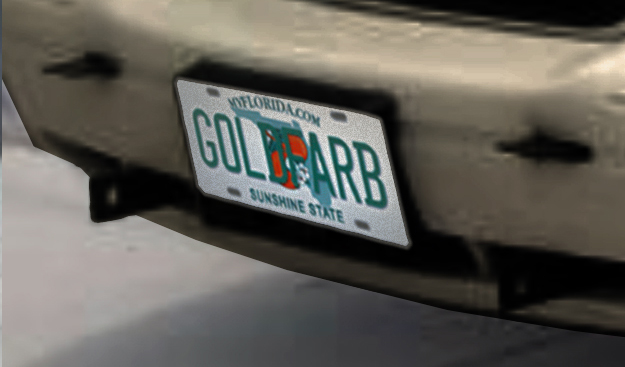 Goldfarb licence plate